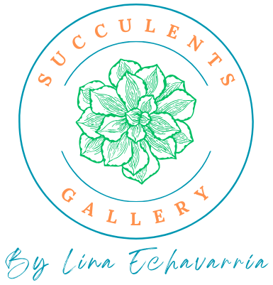 Succulents Gallery